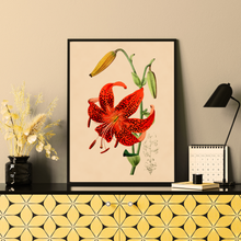 Kép betöltése a galériamegjelenítőbe: Vörös orchidea, vintage stílusú poszter
