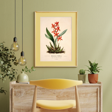 Kép betöltése a galériamegjelenítőbe: Vörös vad orchidea vintage stílusú poszter
